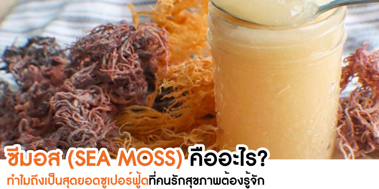 ซีมอส (Sea Moss) คืออะไร? ทำไมถึงเป็นสุดยอดซูเปอร์ฟู้ดที่คนรักสุขภาพต้องรู้จัก?