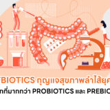Postbiotics กุญแจสุขภาพลำไส้ยุคใหม่ ทางเลือกที่มากกว่า ProbioticsและPrebiotics